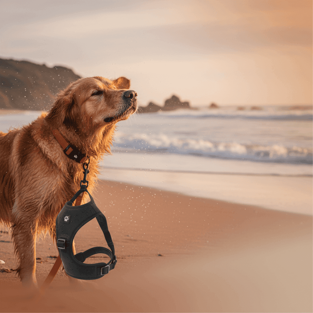 Water-Resistant Accessories