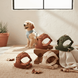 Comfort Harnesses