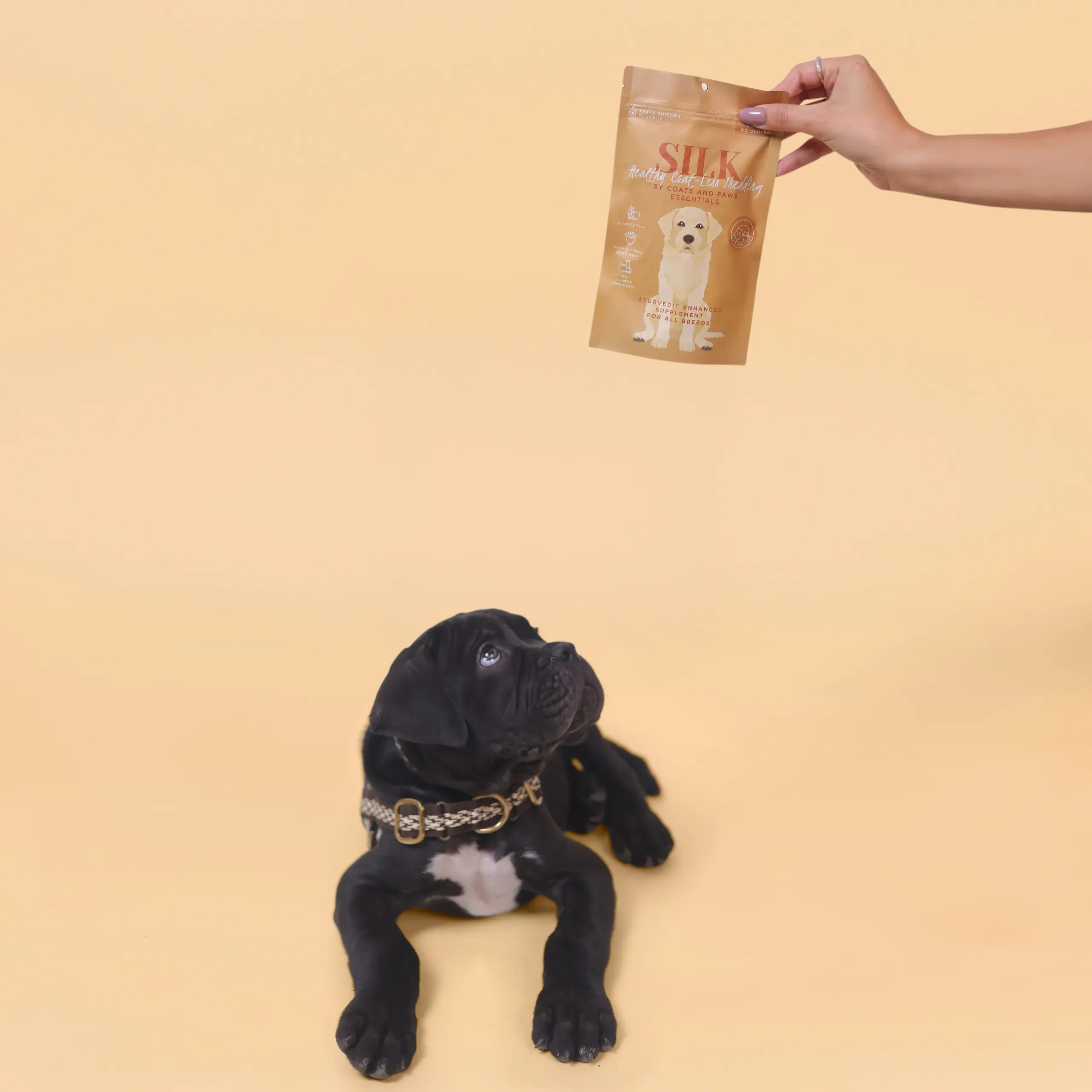 Boost Your Pet's Vitality with Premium Supplements