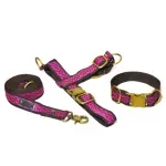 Foxy Roxy Walk Set: Harness, Leash & Collar Trio for Pets