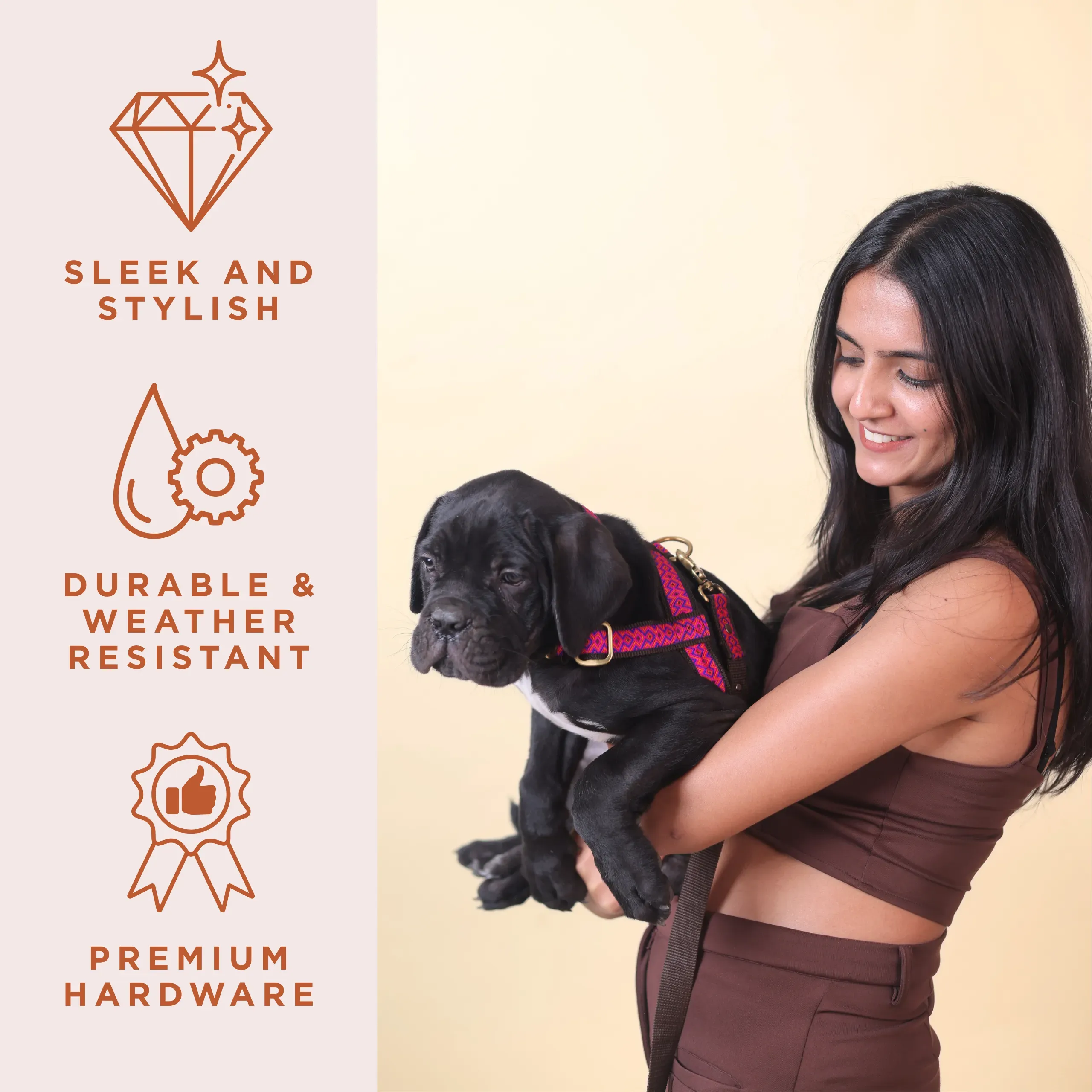 Foxy Roxy Walk Set: Harness, Leash & Collar Trio for Pets